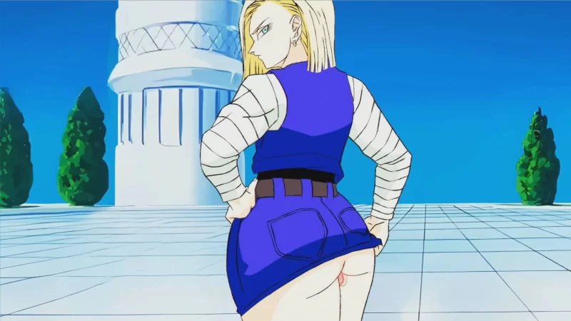 Android18.mp4_snapshot_00.29.861.jpg